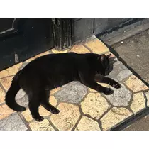 マリア