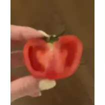 緑 四葉
