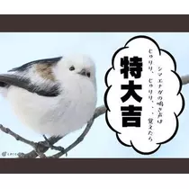 ひな