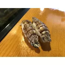 長瀬 純恋