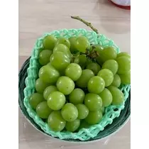 桐島 りゅう