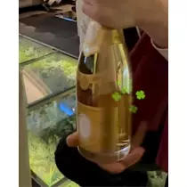 緑 四葉