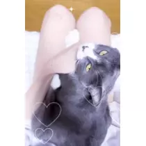 てぃな
