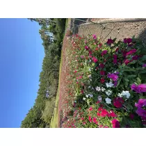 め ぐ