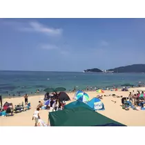 らん