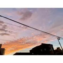 咲良 水月