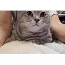 りか