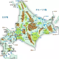 エミ （スタッフ）
