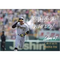エミ （スタッフ）