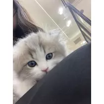みおち