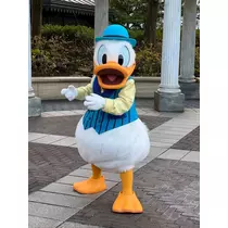 姫花