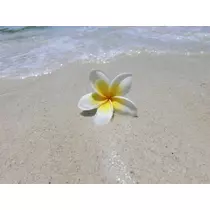 しゅり