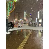 空条 しいな