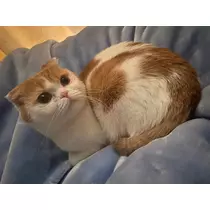 るな