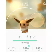 蓮