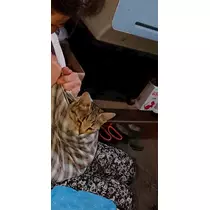 エミ （スタッフ）