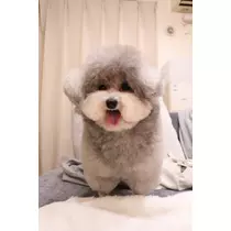 うづき ふうか