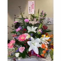 あんな
