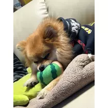 なお