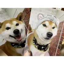 みり