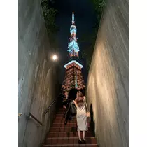 はつね