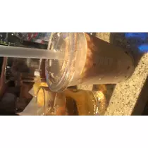 せりな