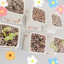 あいり