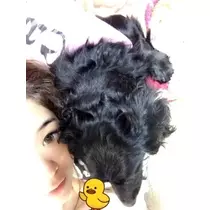 りえ