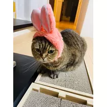 ハルカ