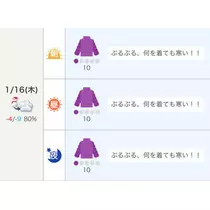 七星 夏純