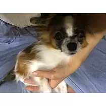 ティナ