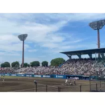 せいな