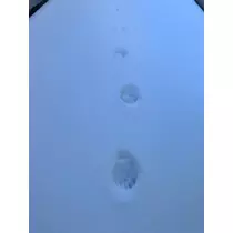 結城 かなの