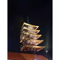 愛羽 仁美