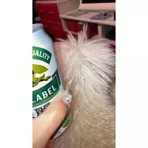 夏樹 あや