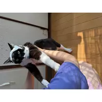 しおり