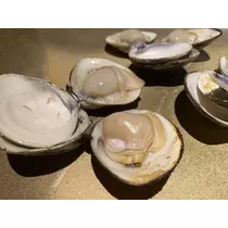 長瀬 純恋