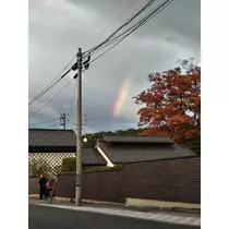 あんず