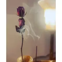 りょう