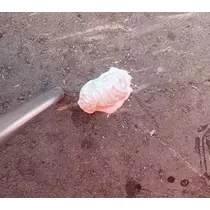 長瀬 純恋
