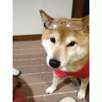 もも