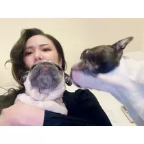 さくら