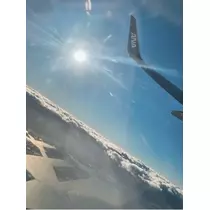 荒木 ナツミ