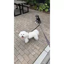 ミナミ