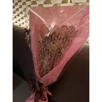 白石 愛莉