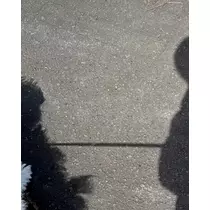 緑 四葉