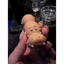 七星 舞冬