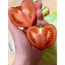橘 美桜
