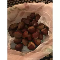 白石 愛莉