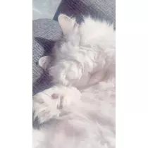 桜井 みなみ